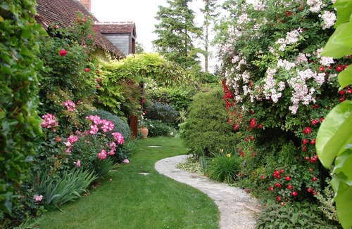 Cour-Cheverny Cottage | CHARMING GITE AT THE HEART OF THE LOIRE CASTLES (and close to the BEAUVAL ZOO)
