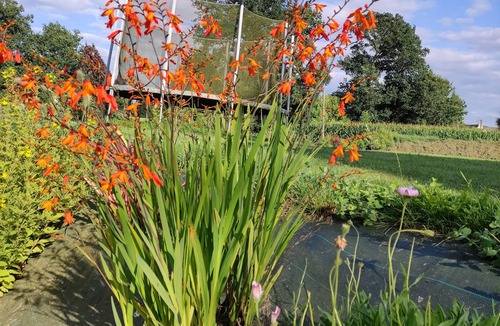 Les Champs-Geraux Cottage | Charming gîte with all modern conveniences on a large plot of land in a flower farm.