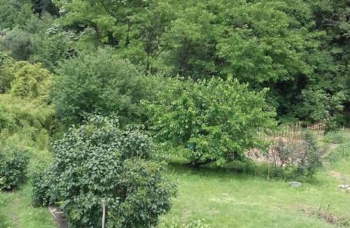 Le Martinet Apartment | Charming gîte overlooking the Cévennes and 3000m2 grounds