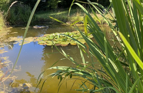 Neuville-sur-Touques House | Charming house in the grounds of a Pays d'Auge manor house