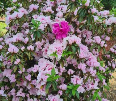 Castle Hill House | Charming Haven, peaceful stay