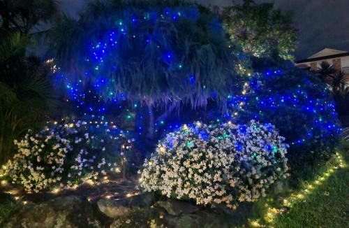 Castle Hill House | Charming Haven, peaceful stay