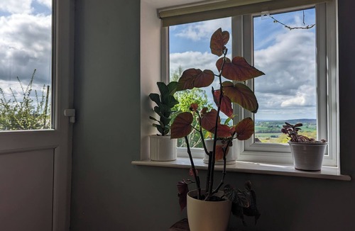 Moreton Cottage | Charming hillside 3 bedroom cottage with sauna