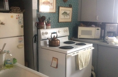 Clayton House | Charming Historic House 4 Blocks from Riverfront in Village of Clayton