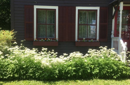 Clayton House | Charming Historic House 4 Blocks from Riverfront in Village of Clayton