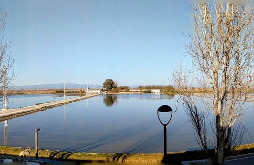 Poble Nou del Delta House | Charming house in the natural park of the delta del Ebro, surrounded by rice fields