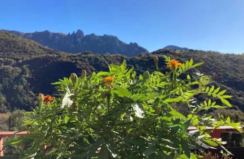 Bidogno House | Charming House with Views in Capriasca