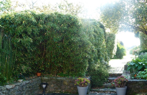 Gatteville-le-Phare House | Charming house