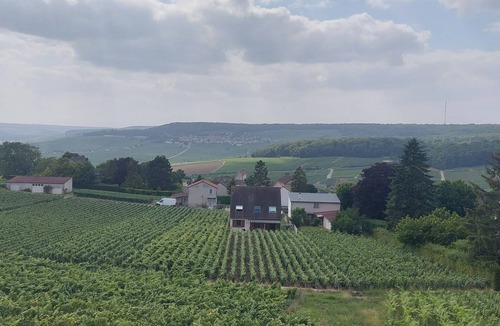 Champillon House | Charming House in the Heart of Champagne Vineyards