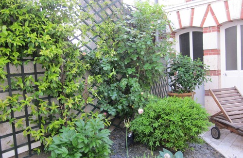Blois House | Charming house in the city center of BloisHouse with character
