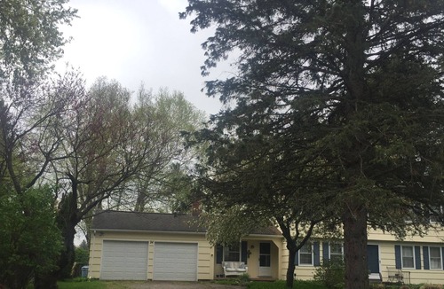 Pittsford House | Charming house nears shops, cafes, hiking/biking trails.