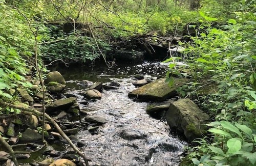 Hyde Park House | Charming Hudson Valley Tiny House