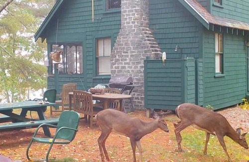 Belfast Cottage | Charming Lake Cottage