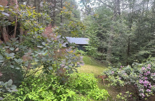 Town of Lumberland House | Charming Lakeside Cottage with lakefront deck