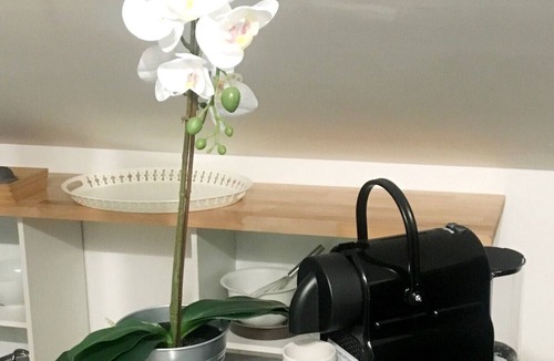 Saint-Herblain Apartment | Charming loft apartment, renovated Modifier