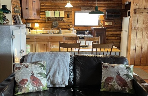 Great Valley Cabin | Charming Log Cabin on Private Pond Nestled in Woods Near Holiday Valley Resort n