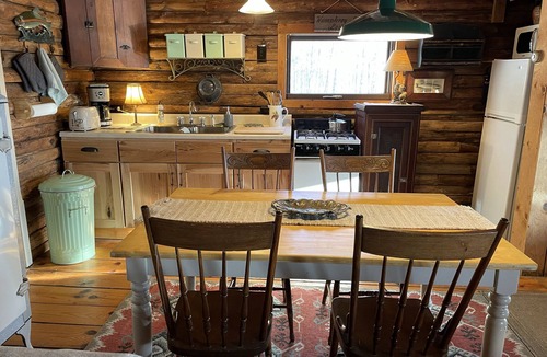 Great Valley Cabin | Charming Log Cabin on Private Pond Nestled in Woods Near Holiday Valley Resort n