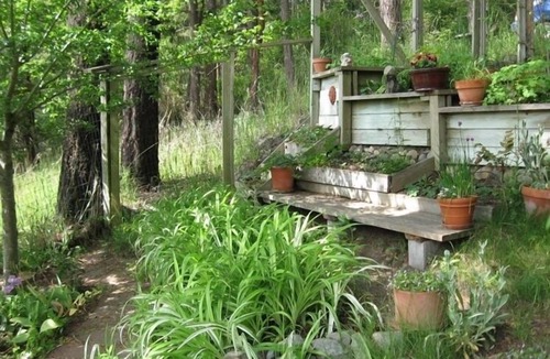 Lopez Island Cabin | Charming Lopez Island Cabin