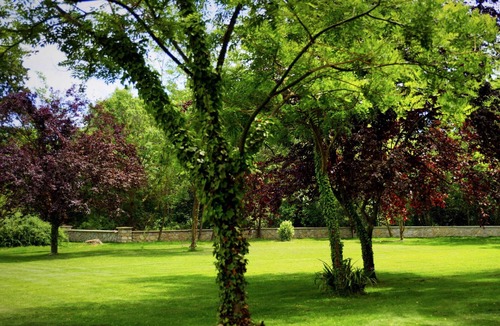 Arles Villa | Charming Mas for rent by the week