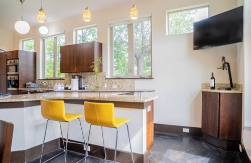 Swede Hill House | Charming Modern Home - Close to everything DT, UT!