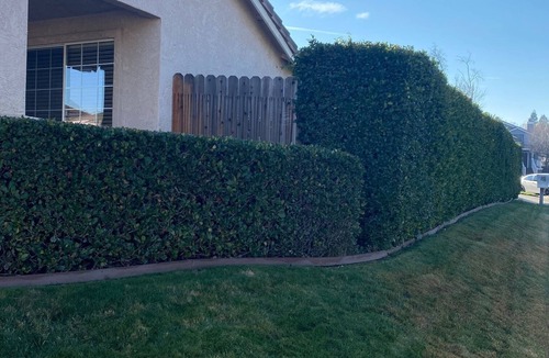 Roseville House | CHARMING MODERN REMODELED Great House