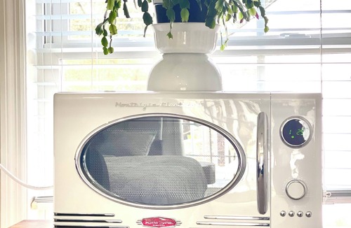 Charleston Apartment | Charming modern studio retreat nestled among trees in beautiful Daniel Island.