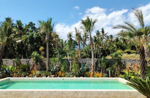 Kaliasem Villa | Charming Modern Villa Cactus, Peaceful Lovina Getaway