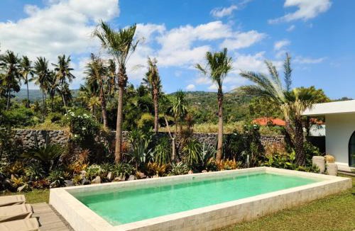 Kaliasem Villa | Charming Modern Villa Cactus, Peaceful Lovina Getaway