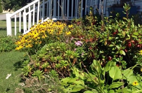 Rockland House | Charming New Englander with Coastal Character Steps from Everything