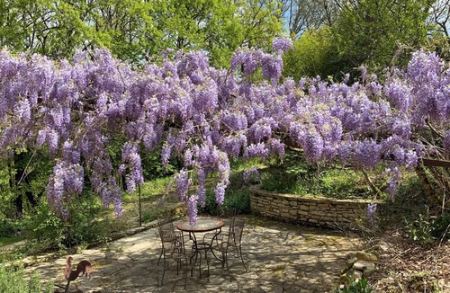 Pontcirq Cottage | Charming one bedroom gite near Cahors with pool