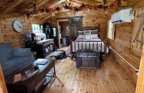 Kerr Apartment | Charming one-room cabin 12 acre retreat private bath, kitchenette & log gazebo.