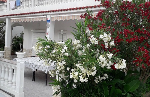 Palit House | Charming Palit Kroatien Holiday House With Garden