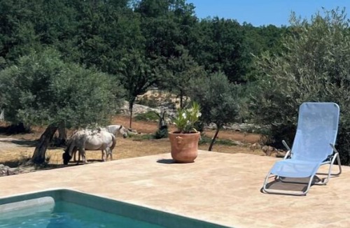 Mons Cottage | Charming Provençal country house -