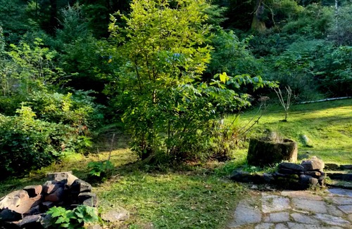 Port Orford Cottage | Charming Quiet custom cottage!nPing Pong, Ninja Warrior setup!nFirepit, orchard!