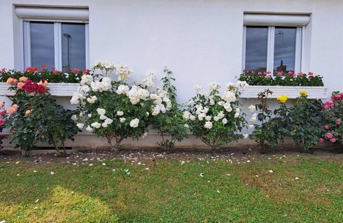 Reims House | Charming, quiet house