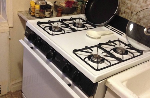 Flatbush Apartment | Charming Quiet Sunny 1br Ditmas Park Close to Train