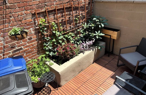 Passyunk Square House | Charming Renovated Rowhome Ready for You!