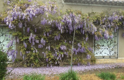 Roaix House | Charming riverside house