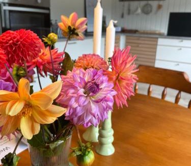 Brande Apartment | Charming rooftop apartment in Uhre