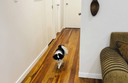 Stokes Valley House | Charming Room available in Stokes Valley, Lower Hutt