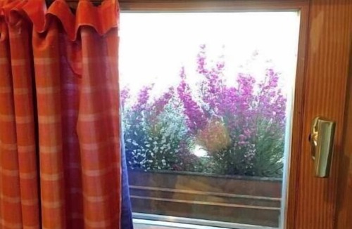 Ilanz Apartment | Charming rooms & apartments