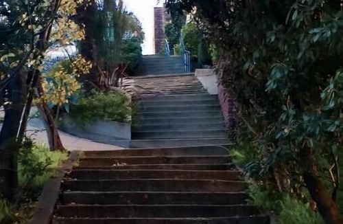 Russian Hill Apartment | Charming Russian Hill Junior 1BR Basement Apt