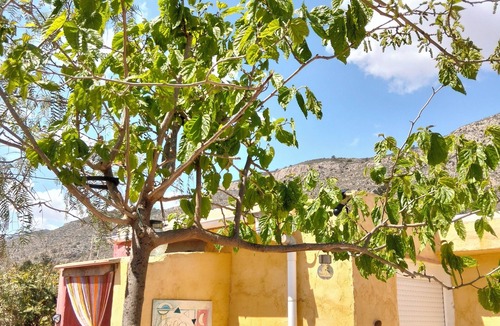 Hondon de las Nieves Cottage | Charming sheperd's shed with marvelous views with jacuzzi free WiFi