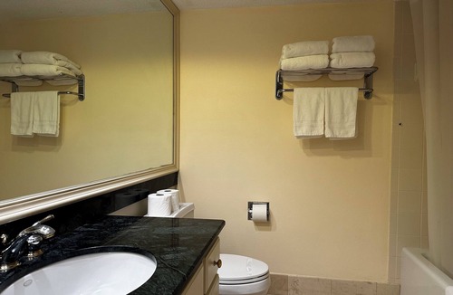 Wesley Chapel Condo | Charming Saddlebrook Stay . Private room with bath.