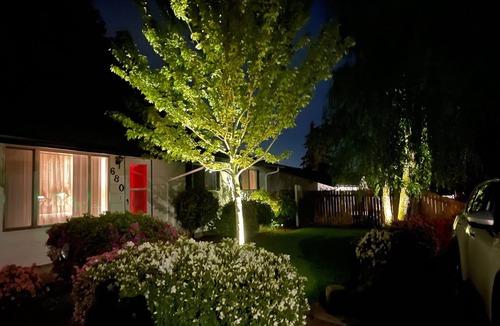 Dallas House | Charming single level updated home~Centrally located