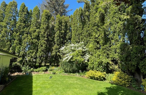 Dallas House | Charming single level updated home~Centrally located