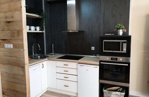 Candanchu Apartment | Charming ski-in apartment with private garage