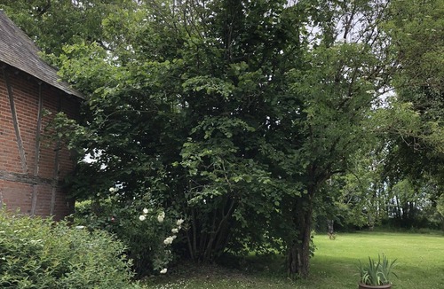 Autry-le-Chatel House | Charming Solognese property