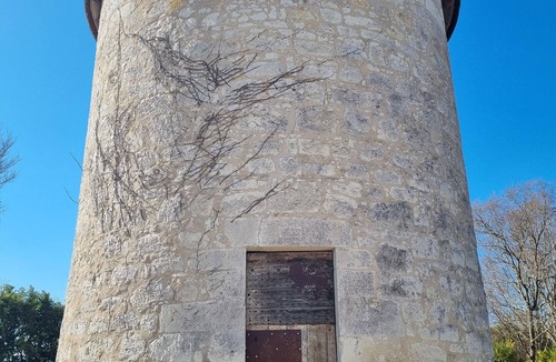 Castera-Bouzet House | Charming stone mill with adjoining house