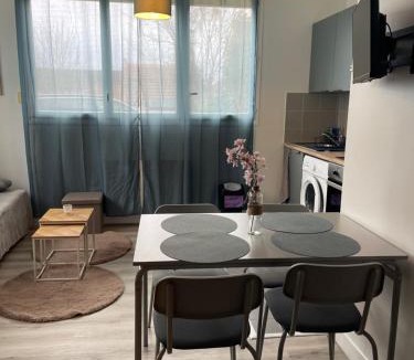 Champigny-sur-Marne Apartment | Charming studio with sleeping area near Paris et Disneyland